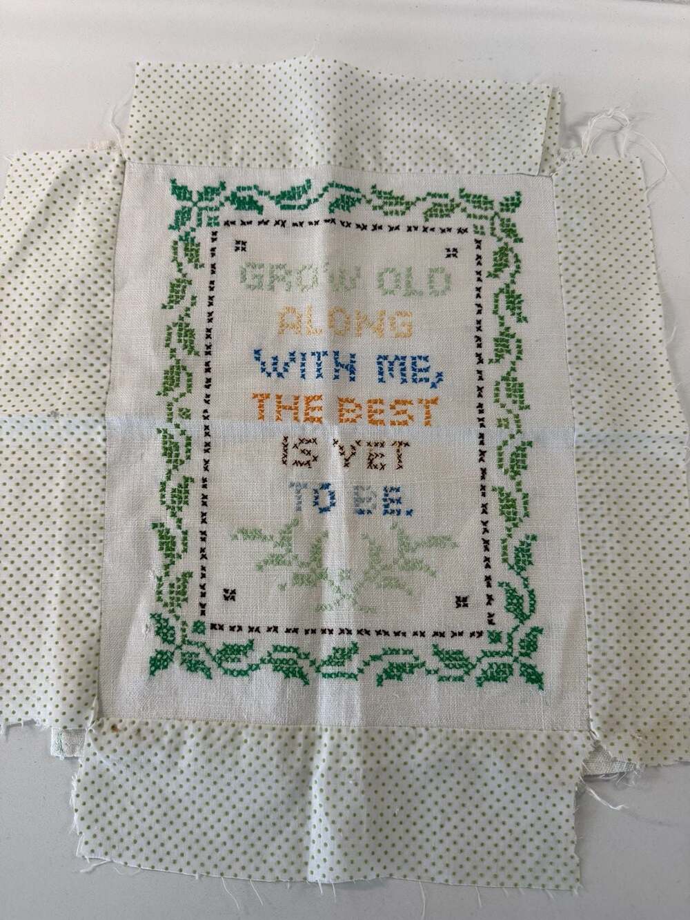 Vintage Hand-Stitched Cross Stitch Quilt Square Grow Old Along With Me